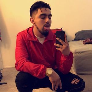 Meet your Posher, Albert